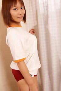 chinese dynasties full download